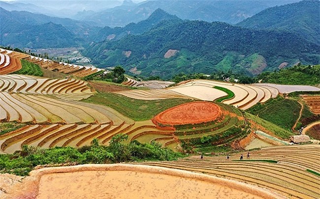 Beautiful Phong Du Thuong Terraced Fields in Yen Bai