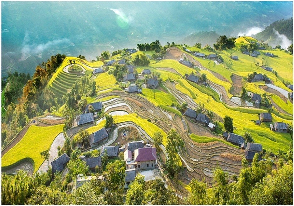 a glimpse of hoang su phi in the harvest season