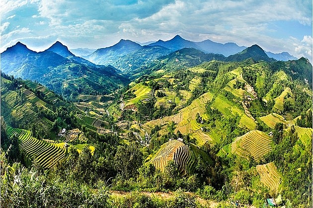 A Glimpse of Hoang Su Phi in the Harvest Season