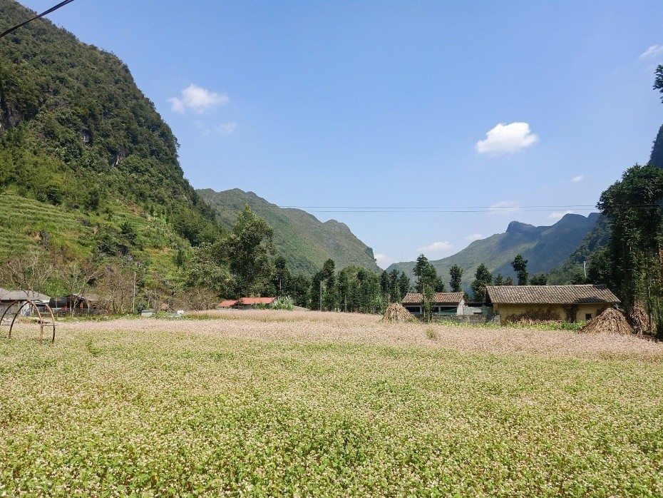 The Beauty of Dong Van Karst Plateau