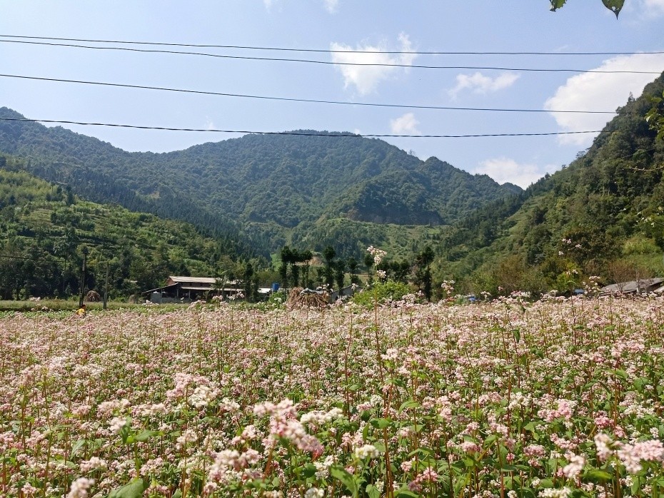 The Beauty of Dong Van Karst Plateau