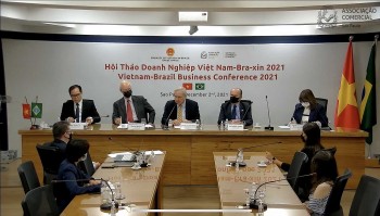 New Opportunities for Vietnam-Brazil Economic Cooperation