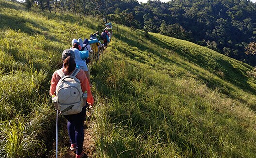 Three Top Hiking Trails Near Ho Chi Minh City