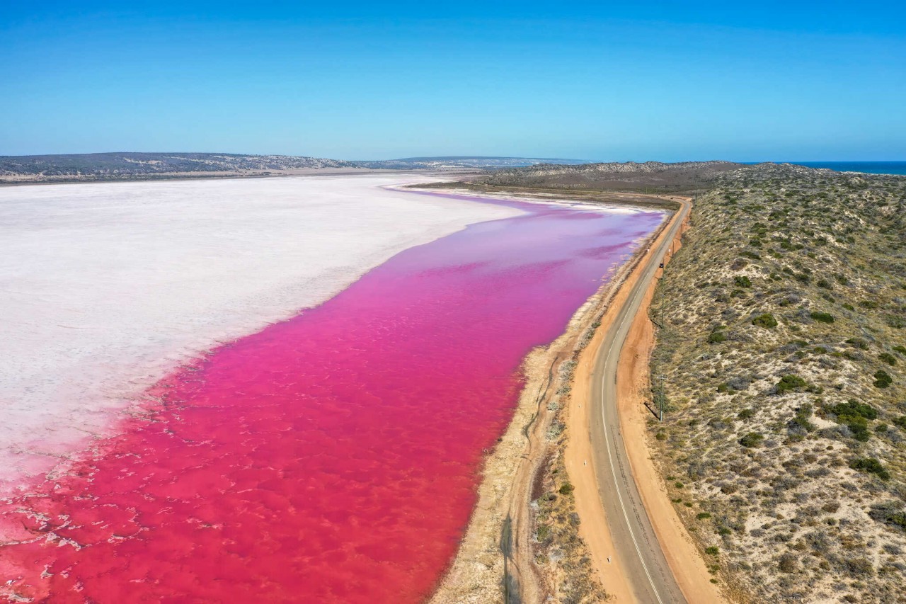 Visit The Unique And Attractive Pink Lake In Australia Vietnam Times