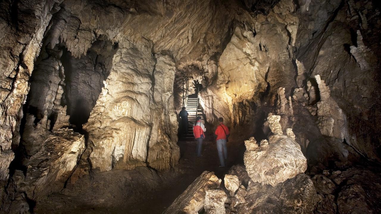 Photo: Postojna Cave Park
