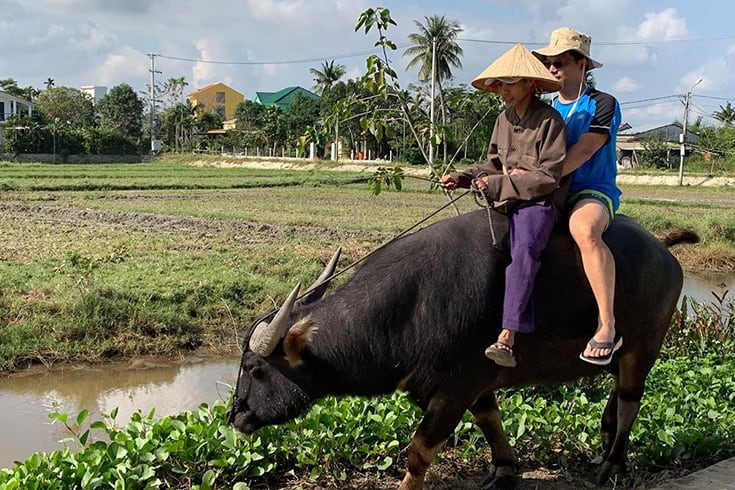 3520 tourist ride a water buffalo in vietnam moshichubby