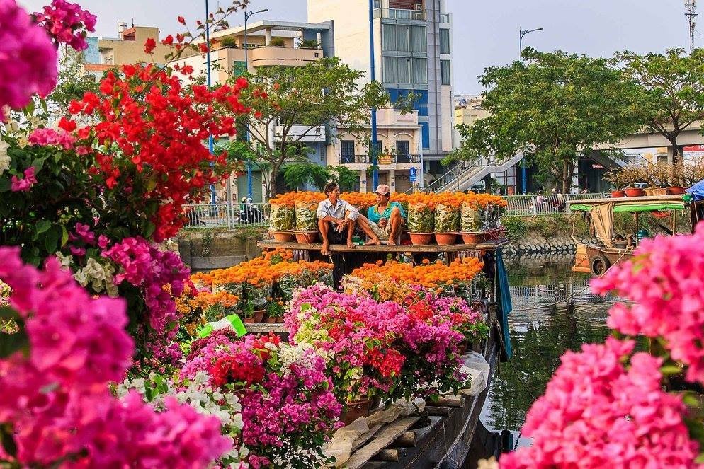 A beautiful scene of Binh Dong flower market. Photo: JP Klovstad 