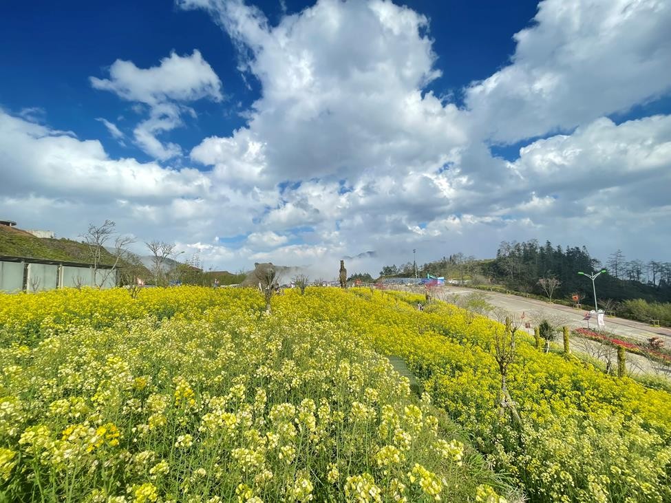 try fansipan mountain for your spring trip