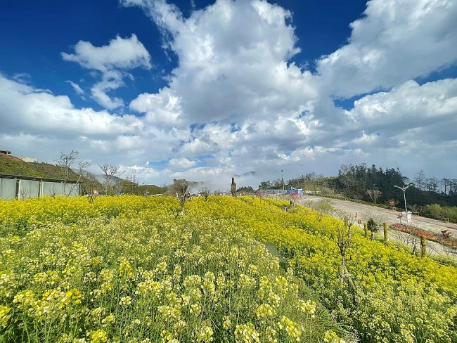 Try Fansipan Mountain For Your Spring Trip