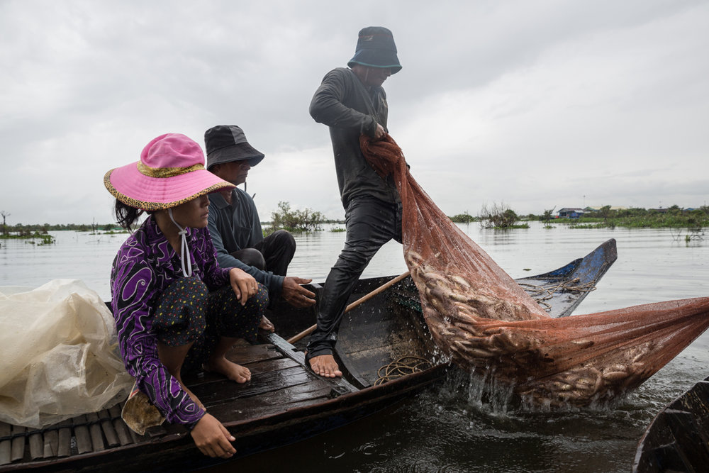 Cambodian fishermen faces a dwindle in fish stocks in Mekong Rivers