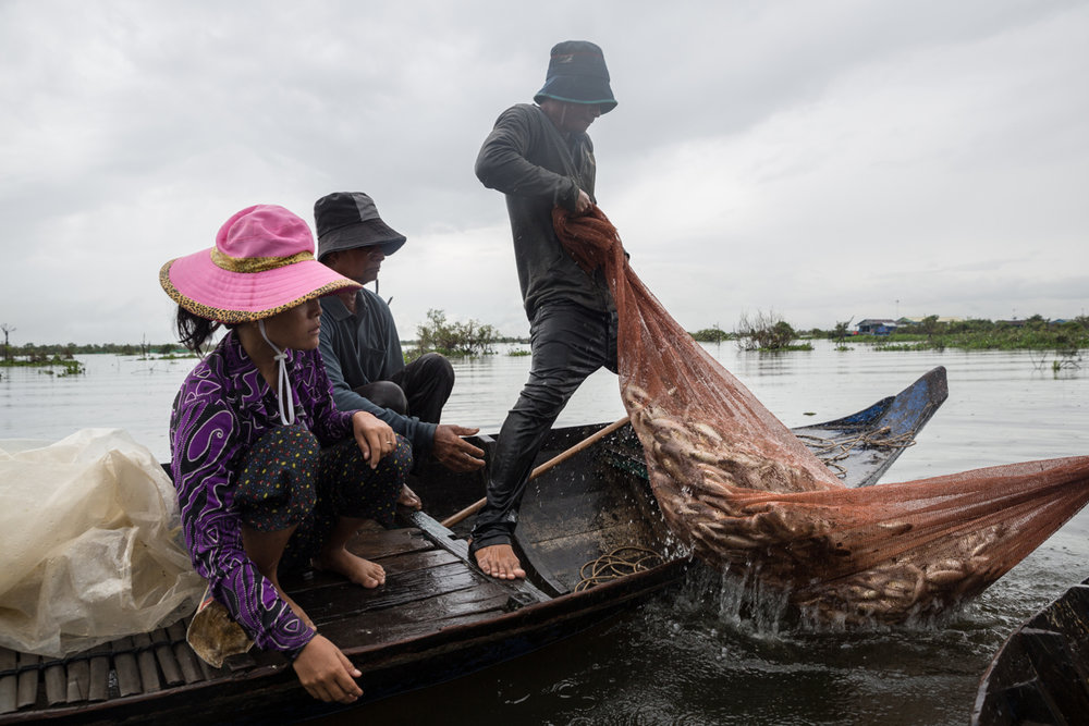 cambodian fishermen faces a dwindle in fish stocks in mekong rivers