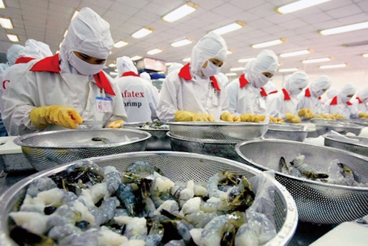 China to increase increase imports of Vietnamese seafood products