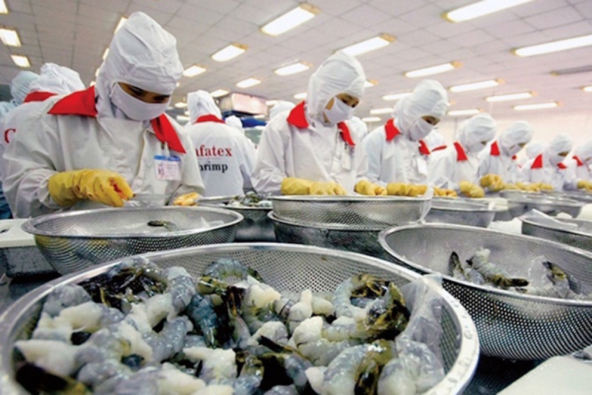 china to increase increase imports of vietnamese seafood products