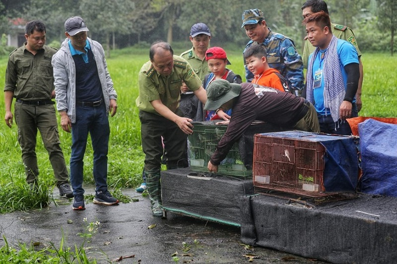 "Going Home" - Animal release debuts at Cuc Phuong National Park