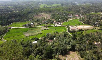 Loc Yen: Quang Nam's Ancient Village in Lush Countryside