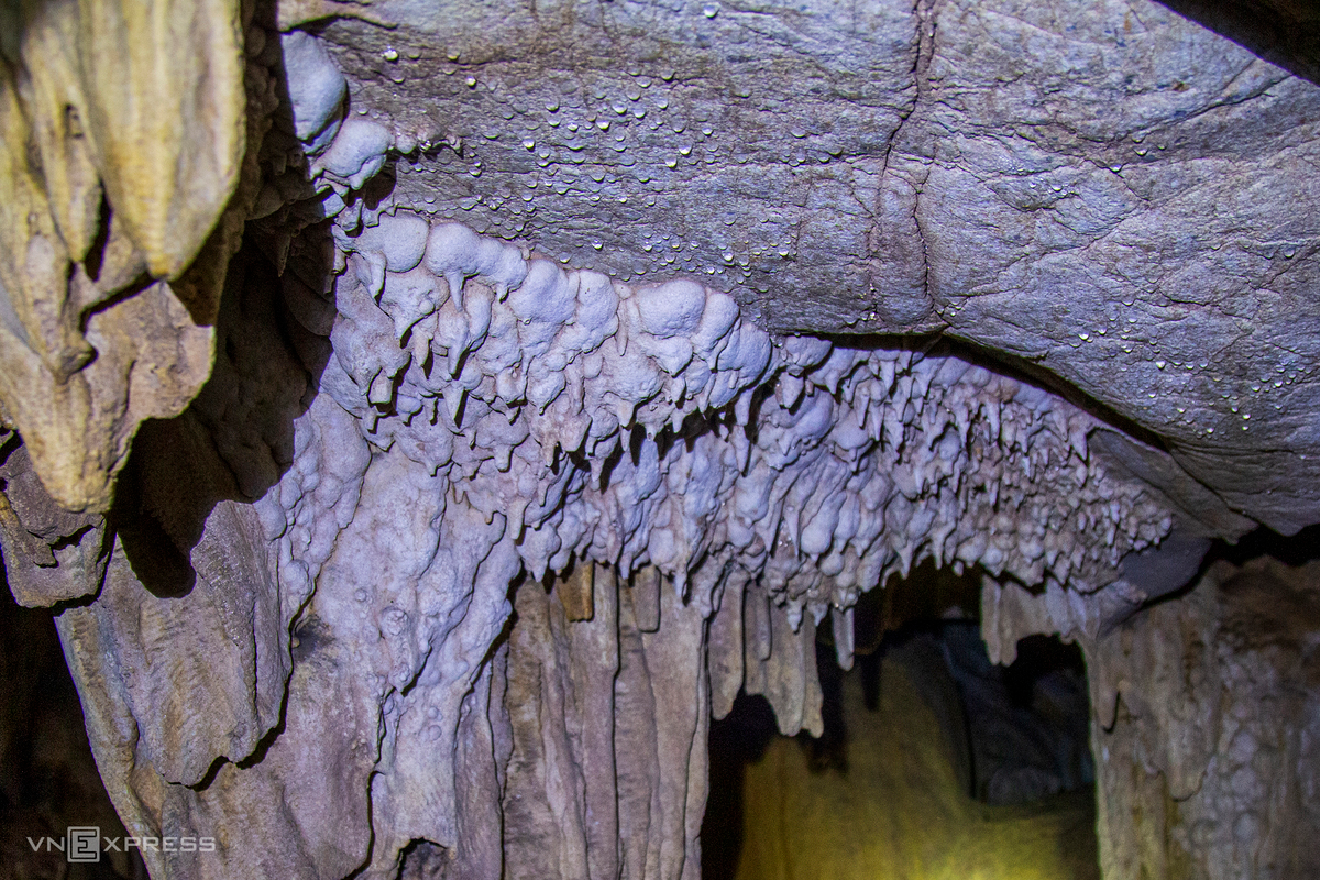 Stalactites jut from the cave roof.  Currently, the cave is being explored for the future purpose of tourism. (Photo: VnExpress) 