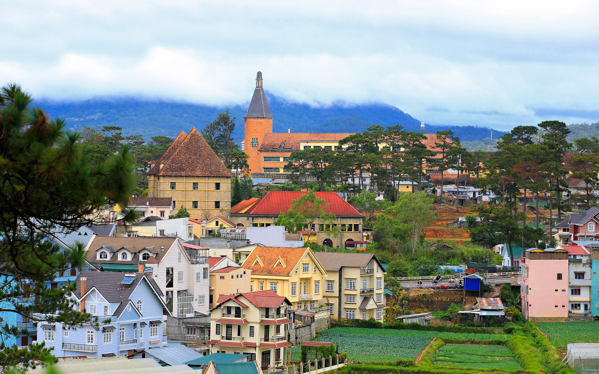 Da Lat City: Where tourists can experience four seasons in a day