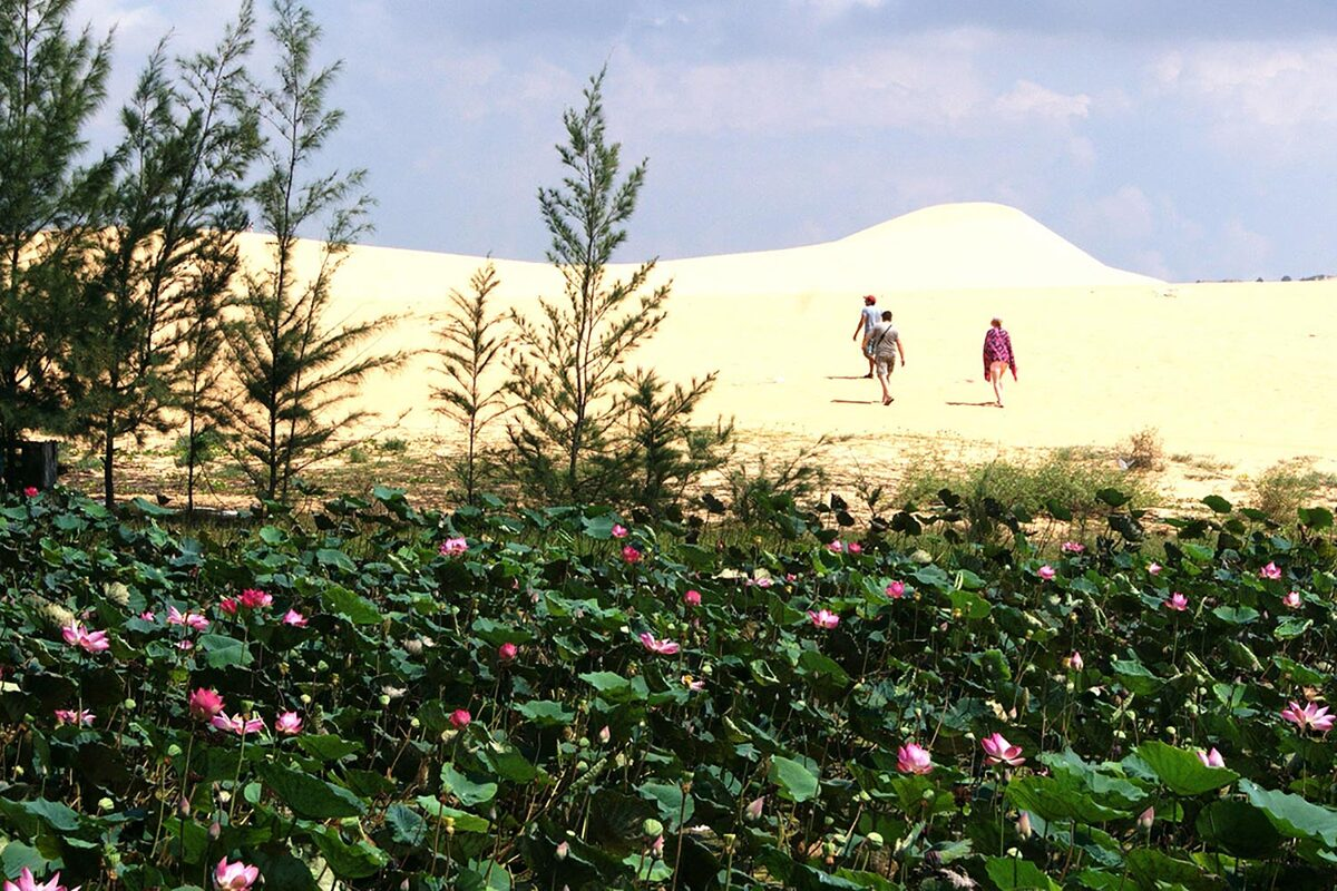 The stories of Bau Trang date back to a long time ago, when Bau Trang was one giant lake. To facilitate traffic across the area, a sand road was constructed and hence, divided the lake into two separate parts, namely Bau Ba (Bàu Bà) and Bau Ong (Bàu Ông). In the summer, the water surface of Bau Ba is covered by clusters of lotuses, creating a scenic, mesmerizing landscape.  Tourists arriving to Bau Trang can also experience some of the entertaining activities such as rowing, fishing, kayaking, driving on Terrain Vehicles, camping… 