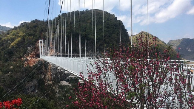 Dare to Cross the “White Dragon” – Experience The Longest Glass Bridge In Vietnam