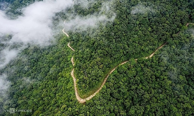 Red-shanked douc - endangered animal released into Bach Ma National Park