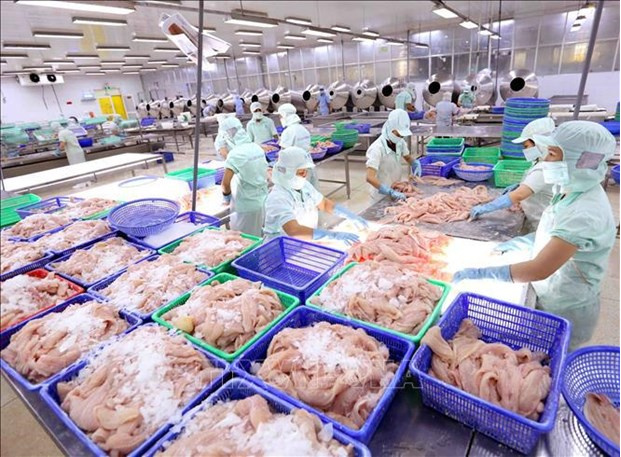 Vietnam’s aquatic product exports increase by 3% in the first quarter of 2021. Photo: VNA