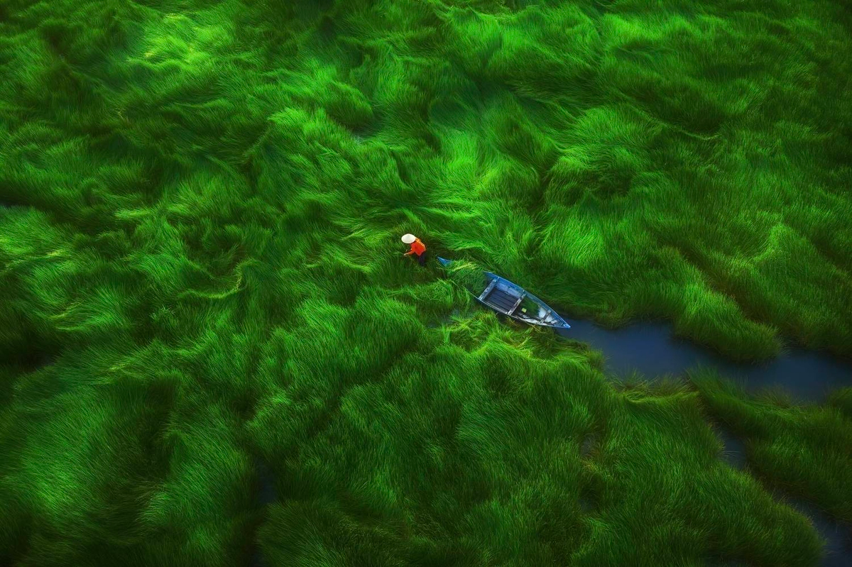 Beautiful Vietnam in the series of aerial photography winning international award