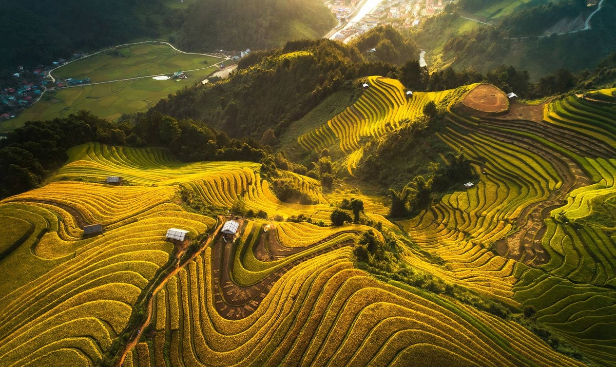 “Golden rice season” of photographer Vu Ngoc Tuan (Hanoi) captures the winding, gorgeous rice terraces in Mu Cang Chai, Yen Bai.  His other work, “Flower nets” with a fishing boat casting nest off Phu Yen Province coast is one of top 100 drone photos.