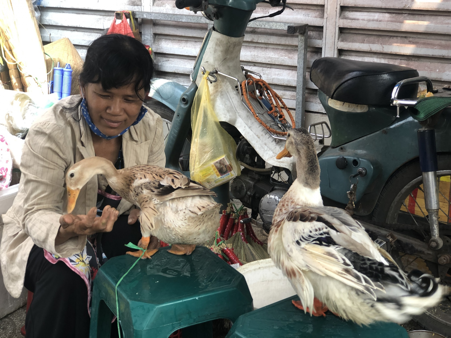 To Tuyet, the ducks are more than just pets. Photo: Quyen Tran 