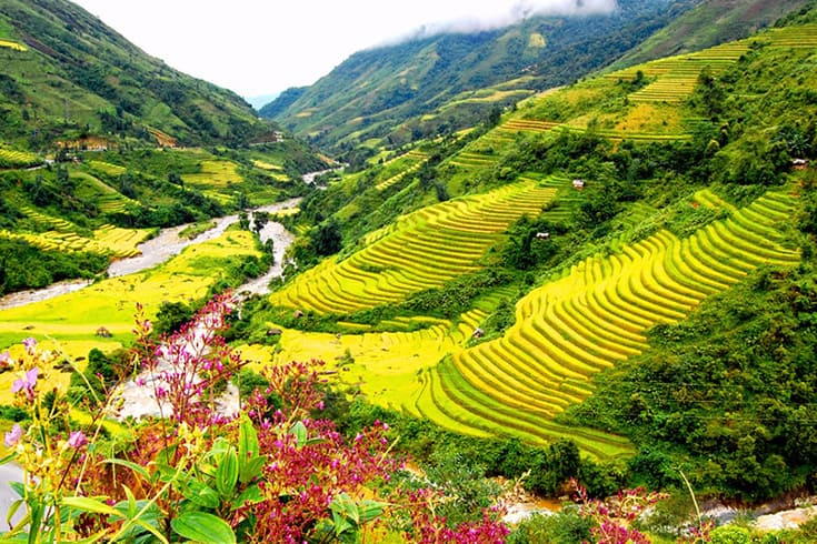 forbes vietnam is one of top 5 most visited destination in southest asia