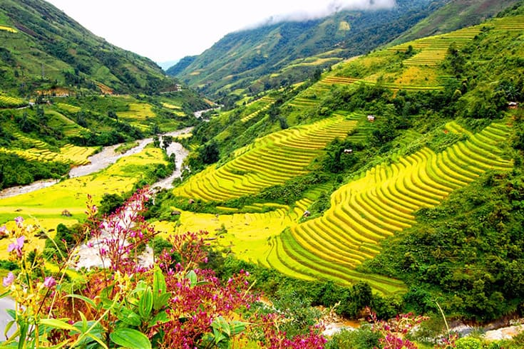 Forbes: Vietnam is one of top 5 most visited destination in Southest Asia