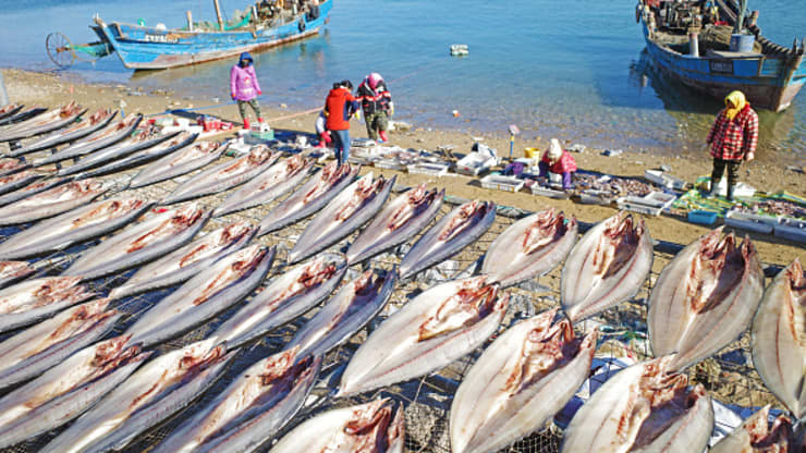 Fishermen dry fish on the seashore on December 4, 2020 in Dalian, China. Lyu Wenzheng | Visual China Group | Getty Images