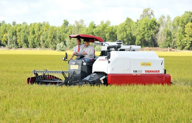 vietnamese rice accounts for 84 filipino rice imports in the first 4 months