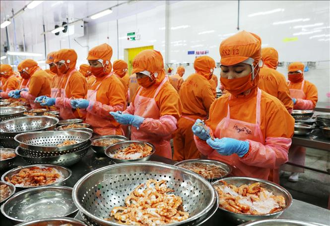 Vietnam’s seafood exports expected to hit $9.4 billion in 2021. Photo: VNA