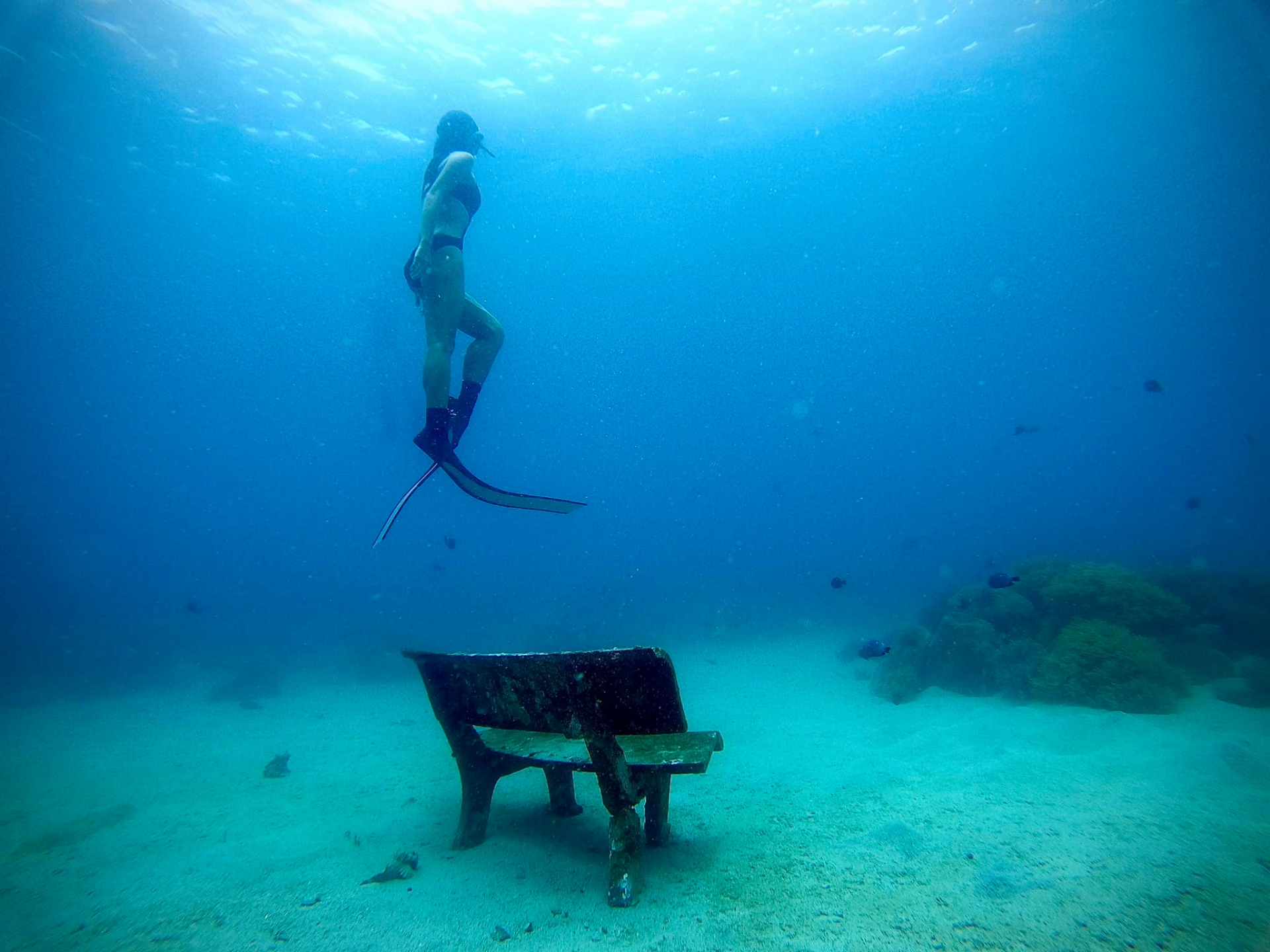 Scuba diving at Nha Trang (Khanh Hoa). Photo: VnExpress 