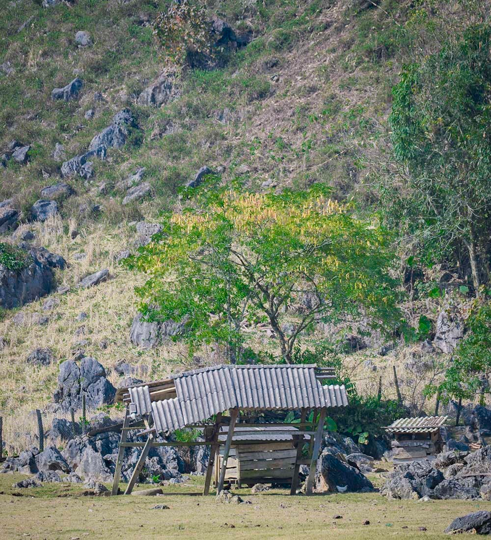 Life with nature. Photo: Duc Giang 