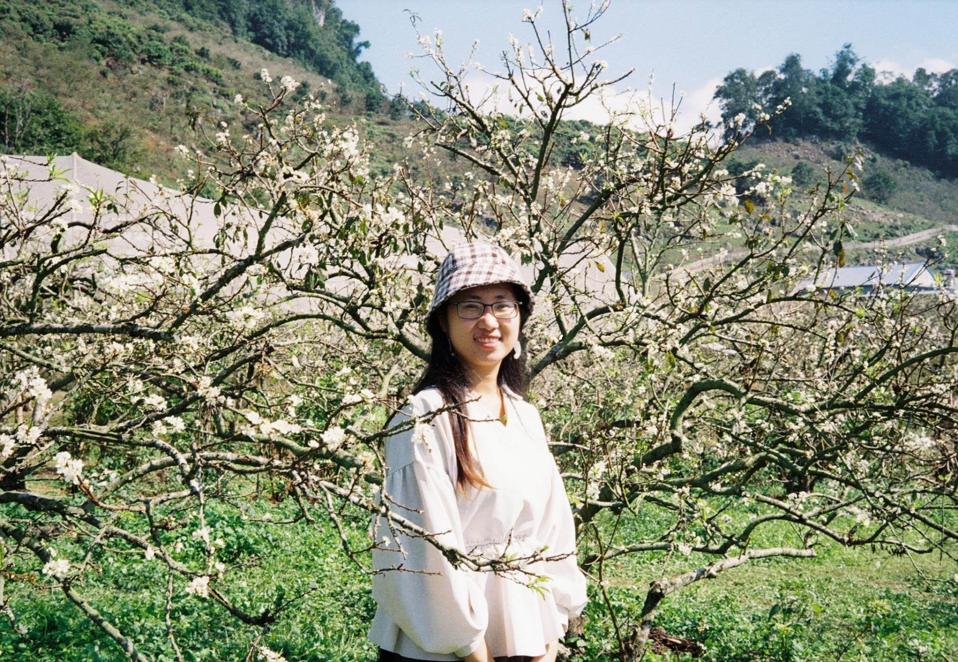 Plum flower season at Moc Chau. Photo: NVCC