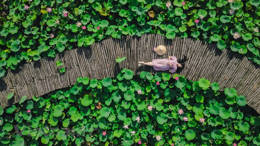 This is one of the most favorite places of young people and photographers when the lotus blooms, to capture every moments of it.  Photo: Vietnam+ 