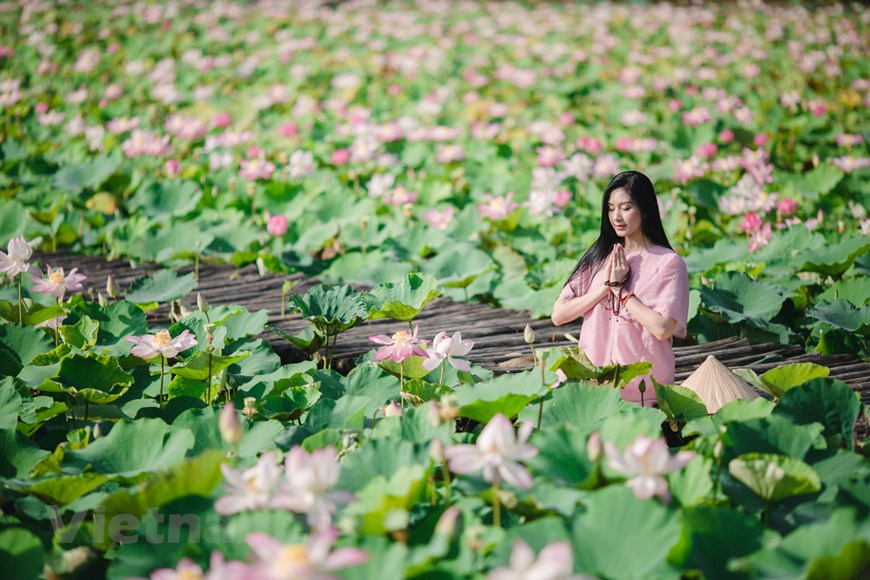 Summer is when Ninh Binh has the highest number of tourists, and other famous destinations in the region such as Mua Cave, Cuc Phuong National Park, Bai Dinh pagoda etc.  Photo: Vietnam+ 