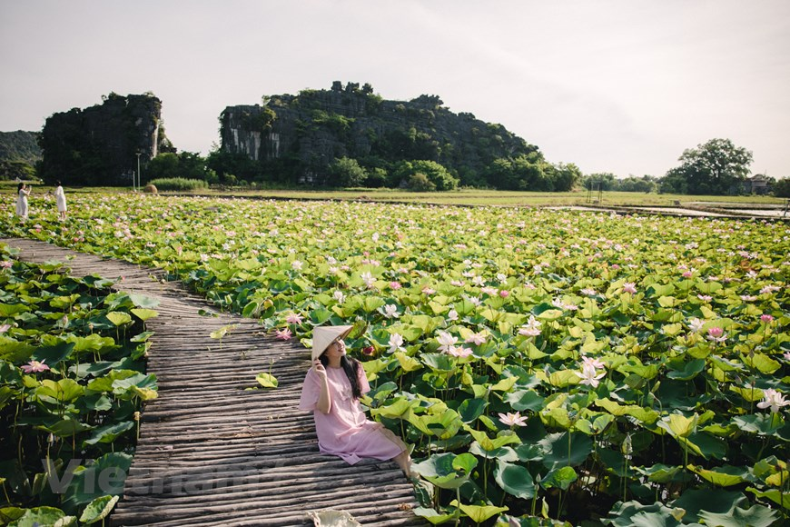 In the distance is the rocky mountain walls that create a wonderful natural and artistic beauty.  Photo: Vietnam+ 