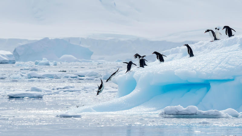 the best bucket list travel expriences in antarctica