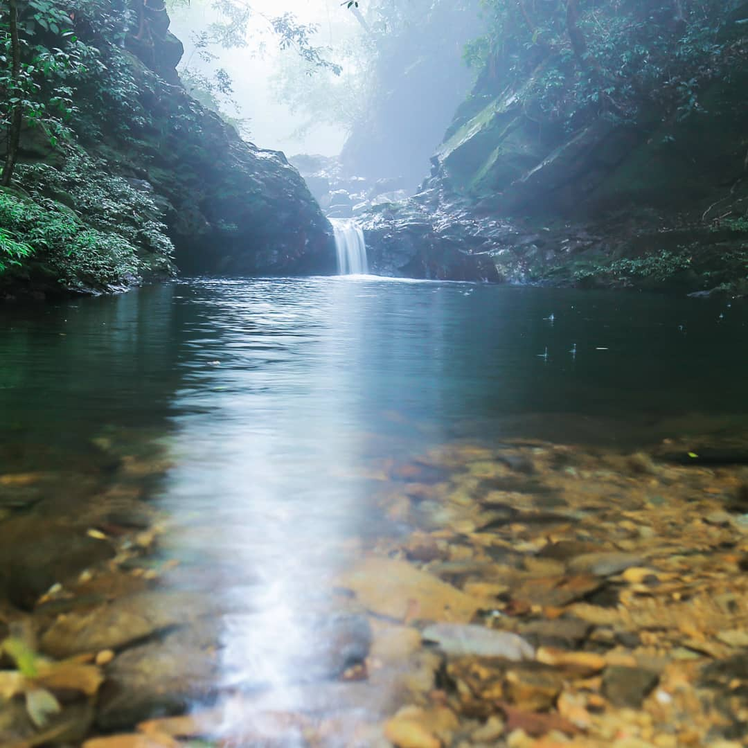 Fairy River (Suoi Tien) - The "Fairy Living In The Woods" Attracts Tourists