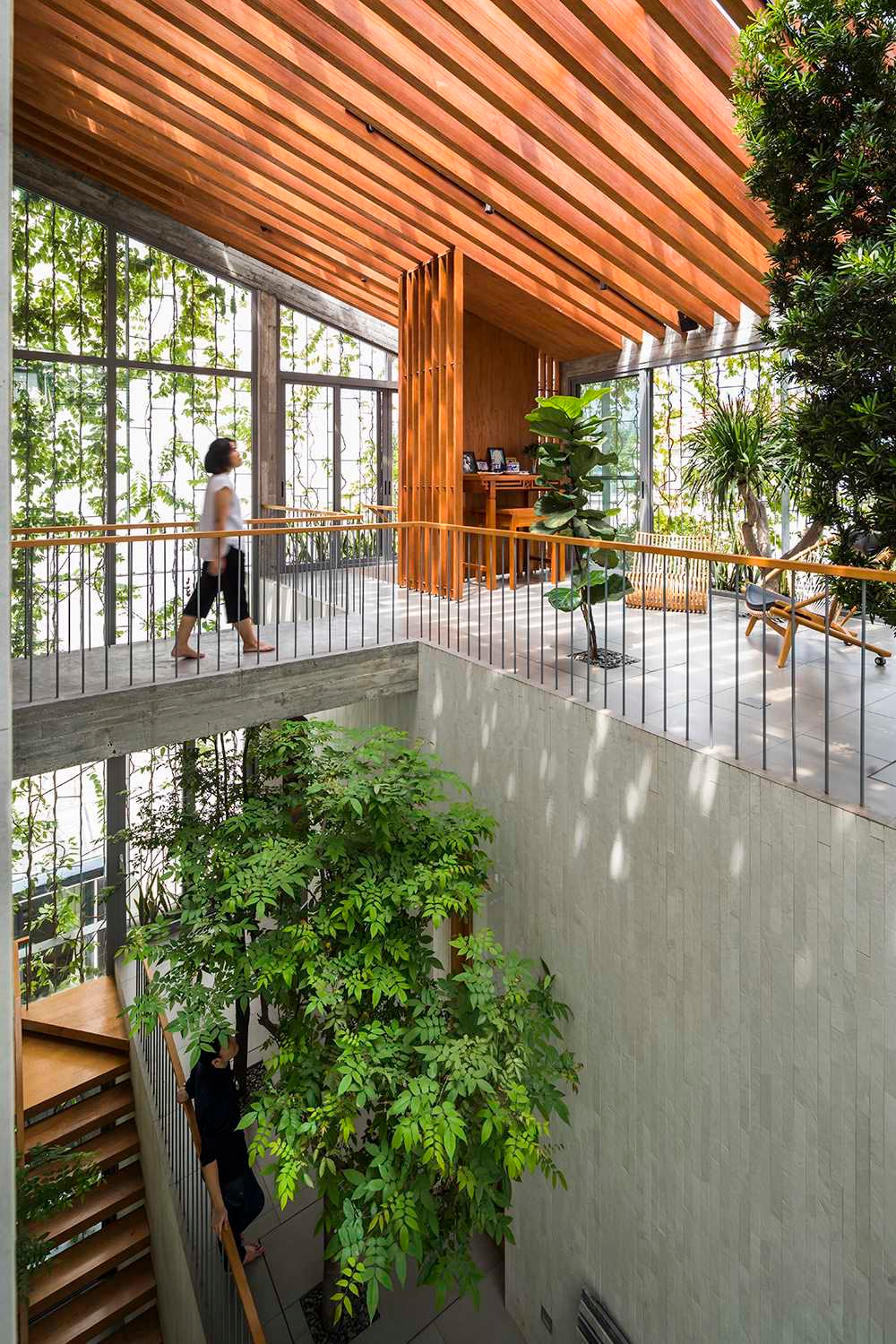 Even corridors in this house are lined with big trees. Photos courtersy of Hiroyuki Oki