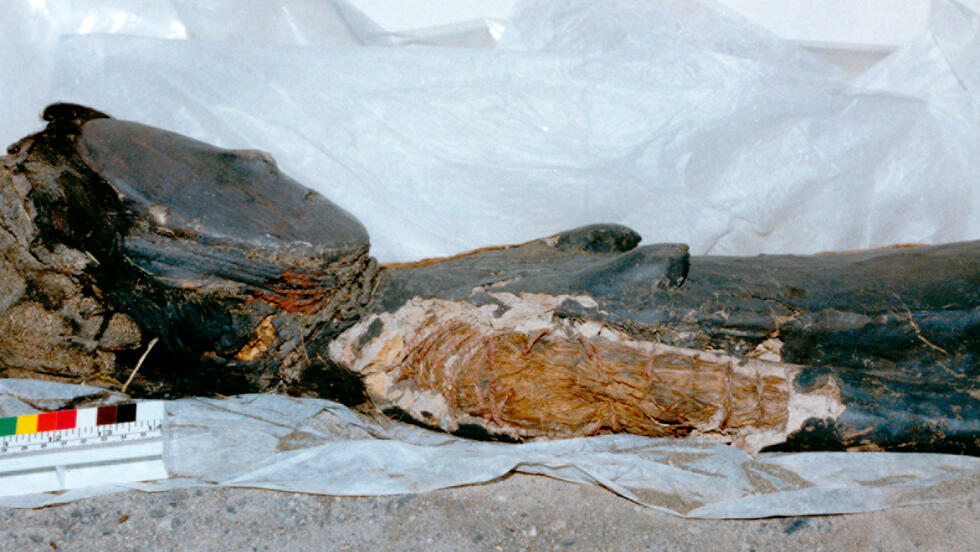 The Secret Of Chinchorro"s Oldest Mummies - UNESCO World Heritage ...