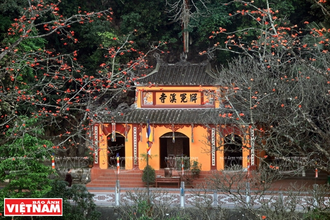 Flowers blossom at Huong Pagoda. Photo: Cong Dat/Tat Son/Thanh Giang/VNP