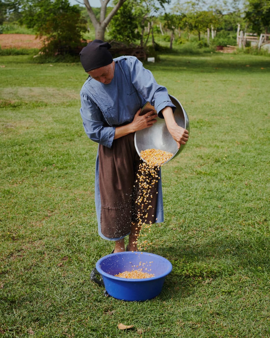 Mennonites colonies are an important source of agricultural produce in Belize.Jake Michaels/Courtesy Setanta Books