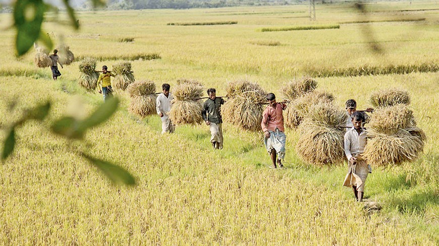 Photo: Dhaka Tribune 