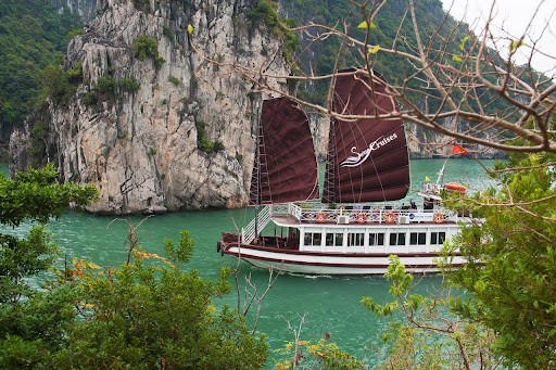 Photo: Tree Vietnam Travel 