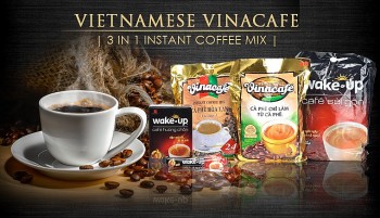 Enjoy a Hot Cup of Coffee: Best Coffee Brands in Vietnam
