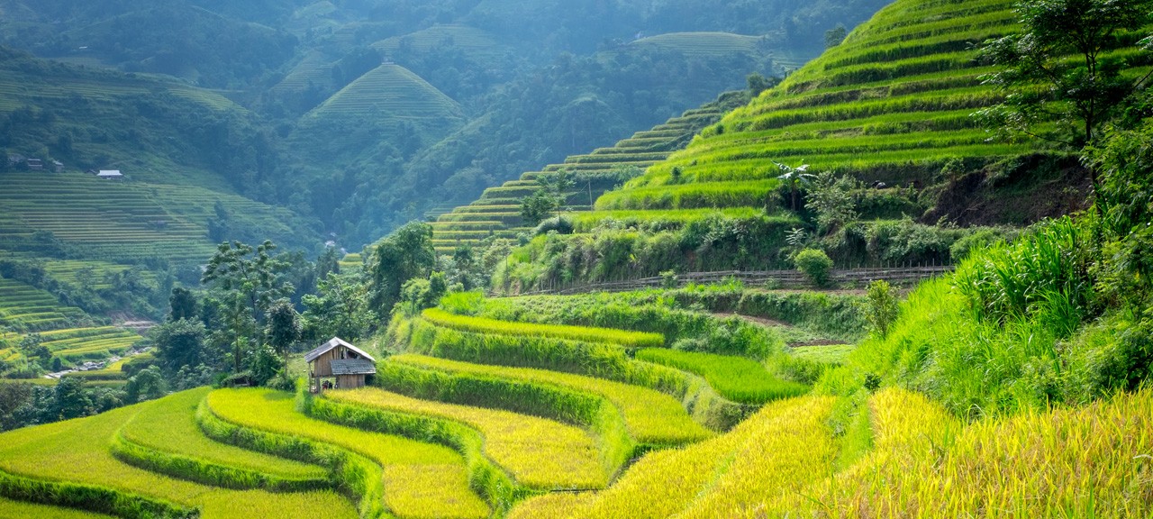 Photo: Trails of Indochina 