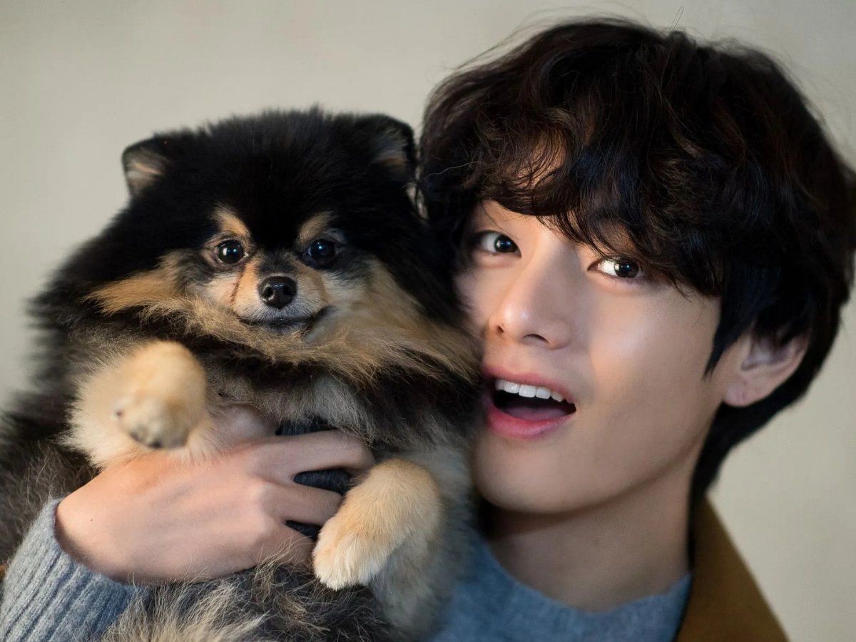 who is singer v of bts early life career personal life achievement